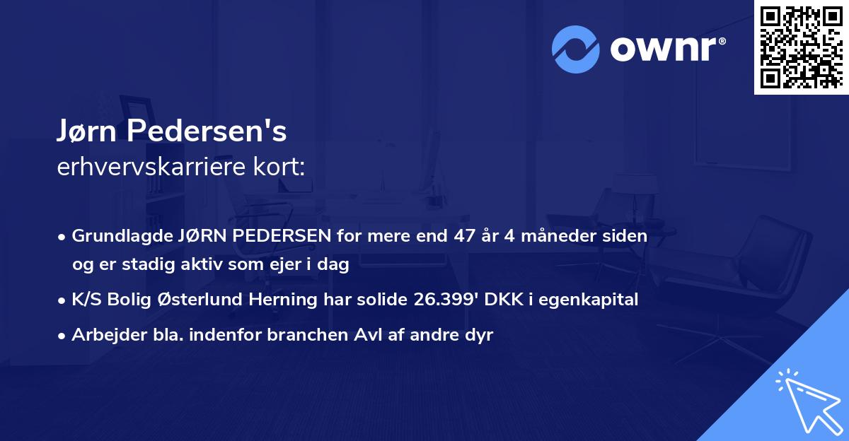 Jørn Pedersen's erhvervskarriere kort