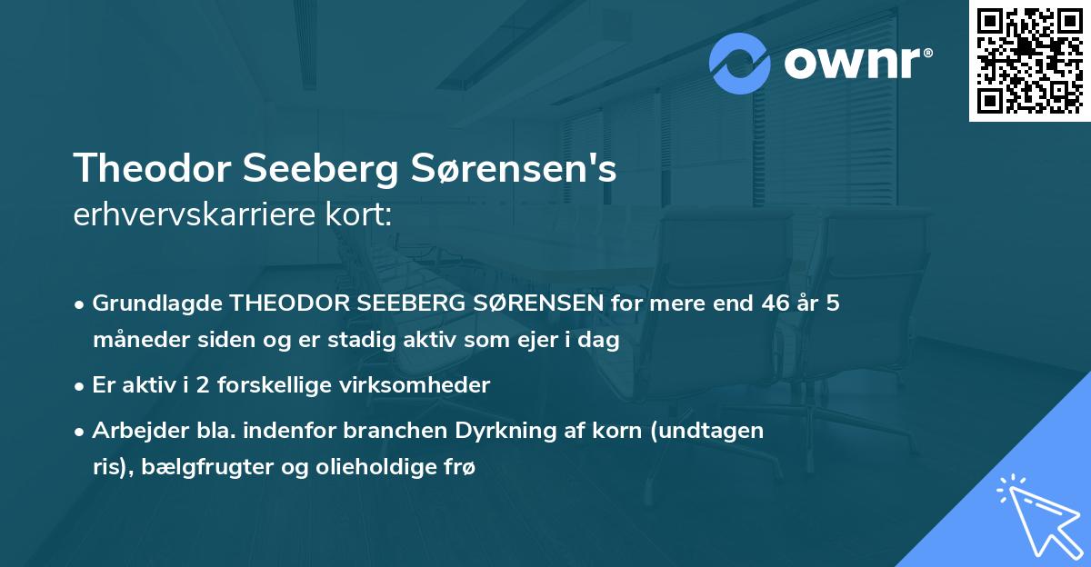 Theodor Seeberg Sørensen's erhvervskarriere kort