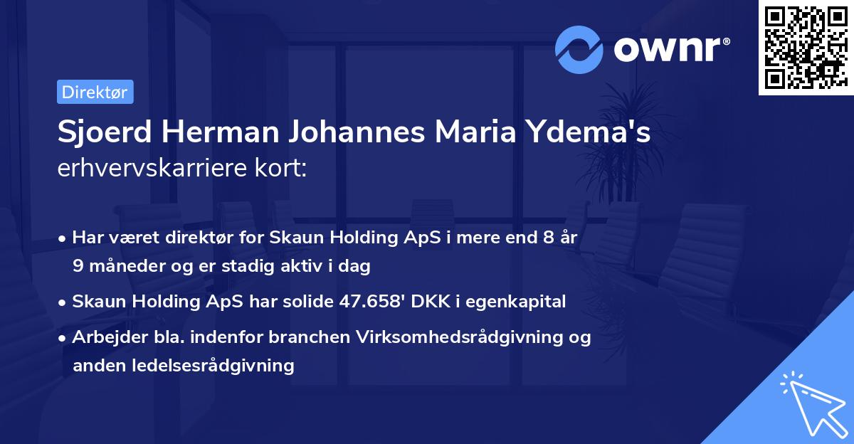 Sjoerd Herman Johannes Maria Ydema's erhvervskarriere kort