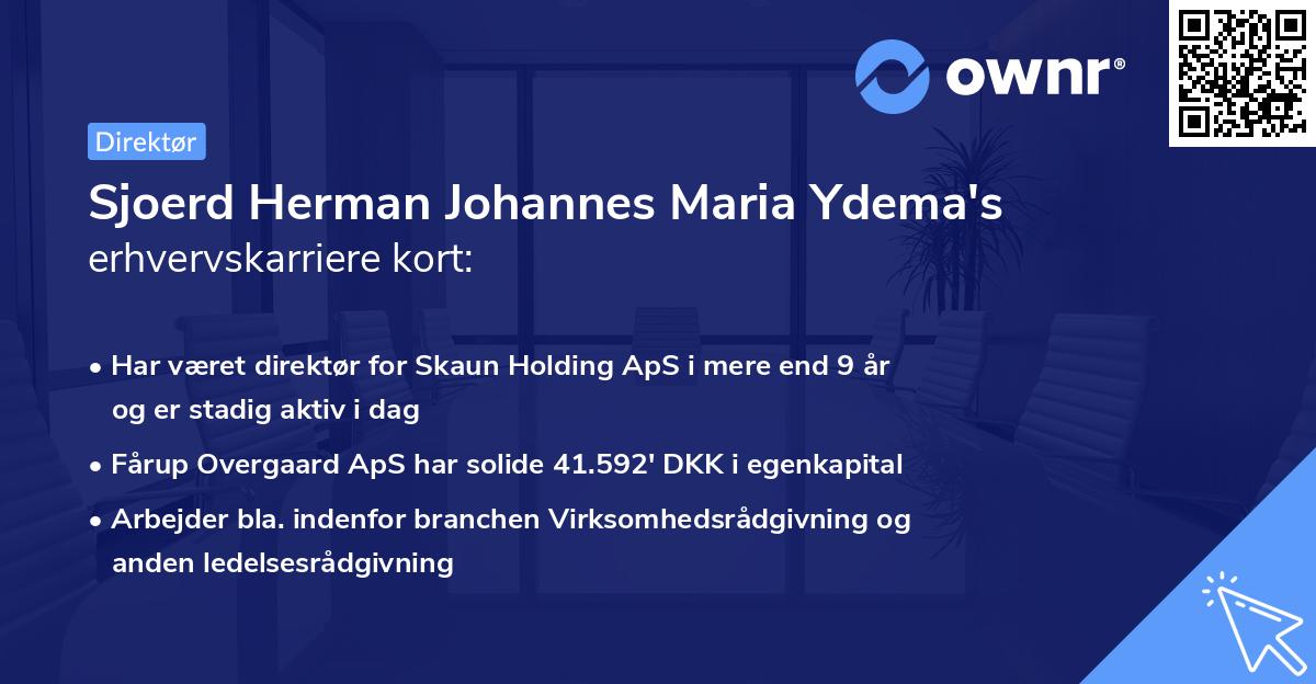Sjoerd Herman Johannes Maria Ydema's erhvervskarriere kort