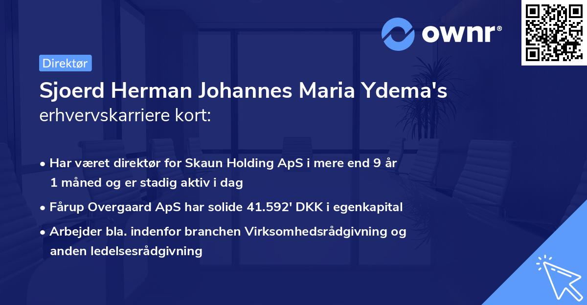 Sjoerd Herman Johannes Maria Ydema's erhvervskarriere kort