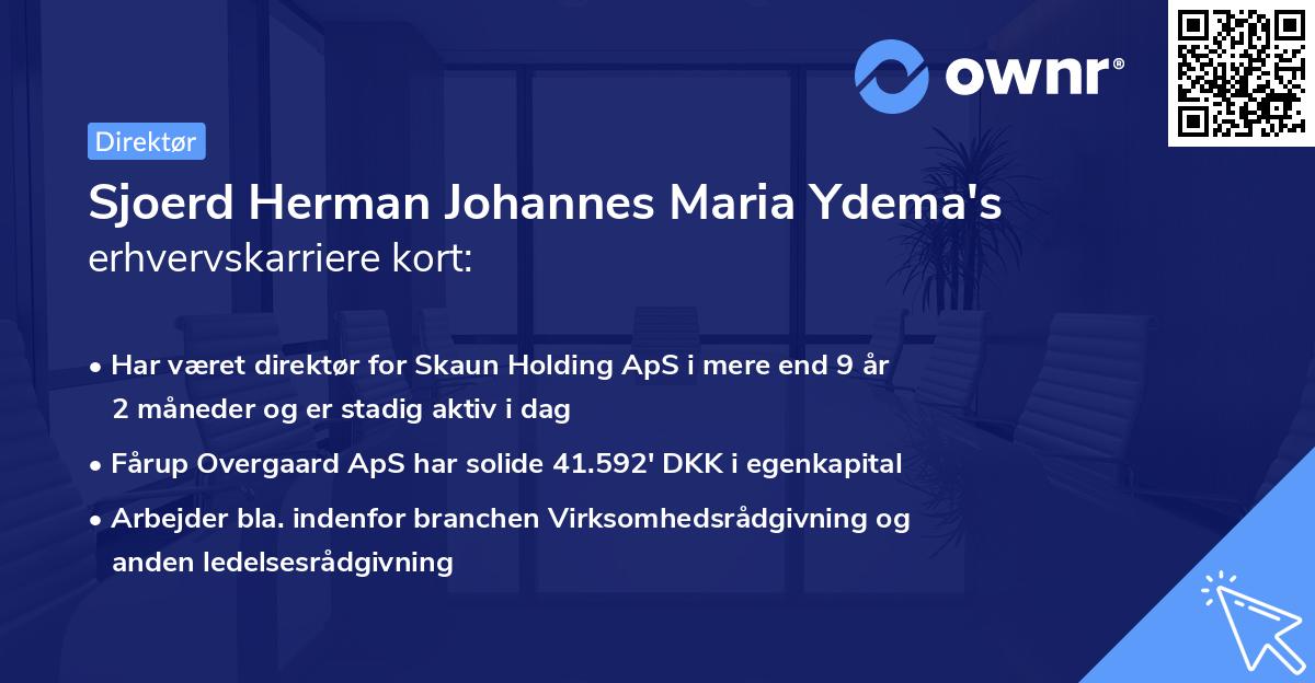 Sjoerd Herman Johannes Maria Ydema's erhvervskarriere kort