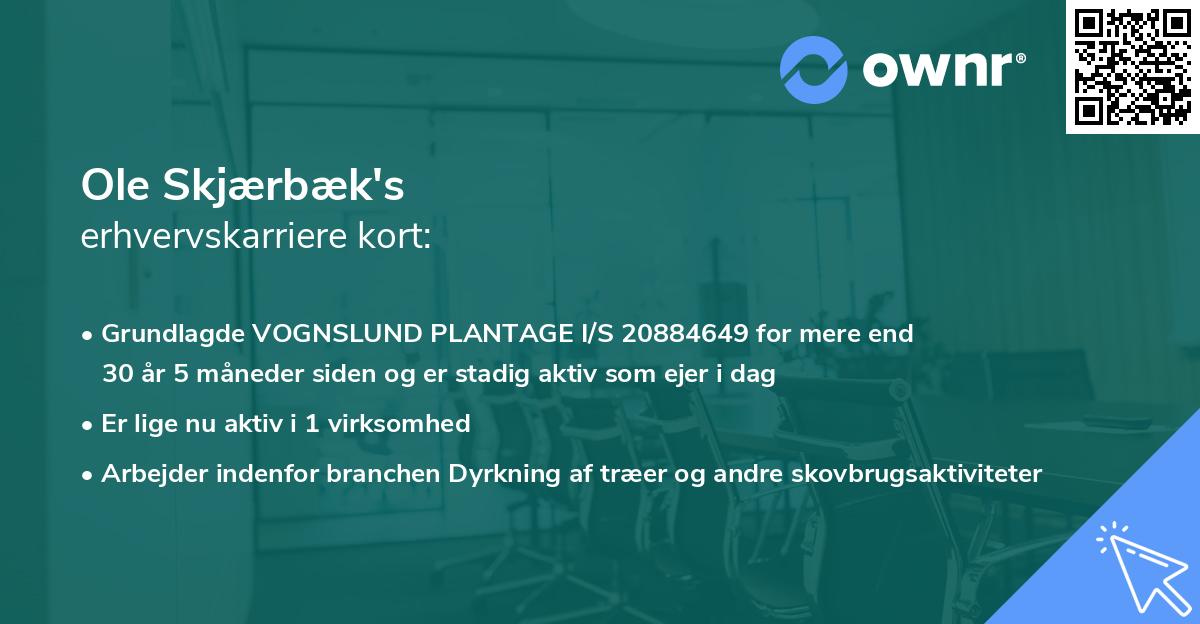 Ole Skjærbæk's erhvervskarriere kort