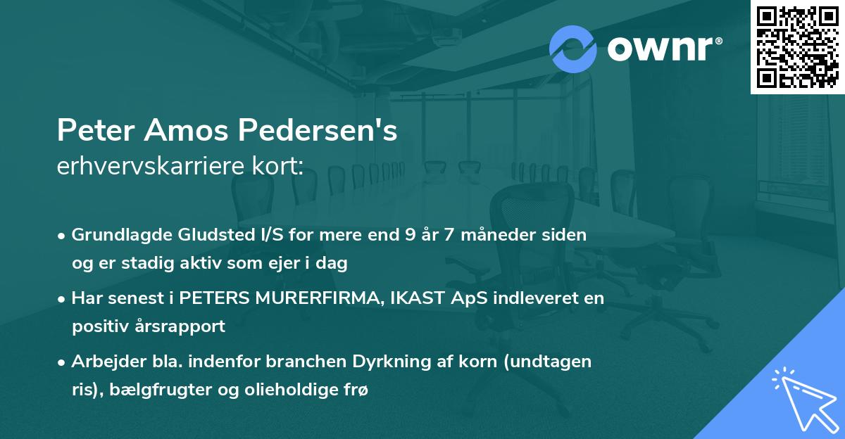 Peter Amos Pedersen's erhvervskarriere kort