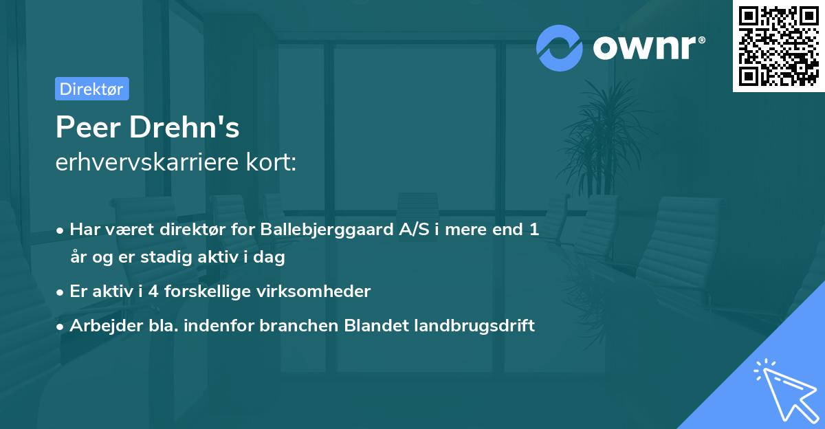 Peer Drehn's erhvervskarriere kort