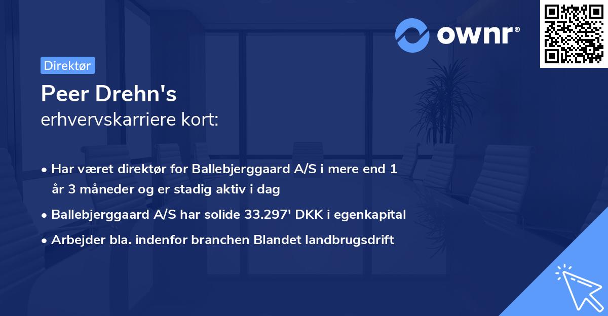 Peer Drehn's erhvervskarriere kort