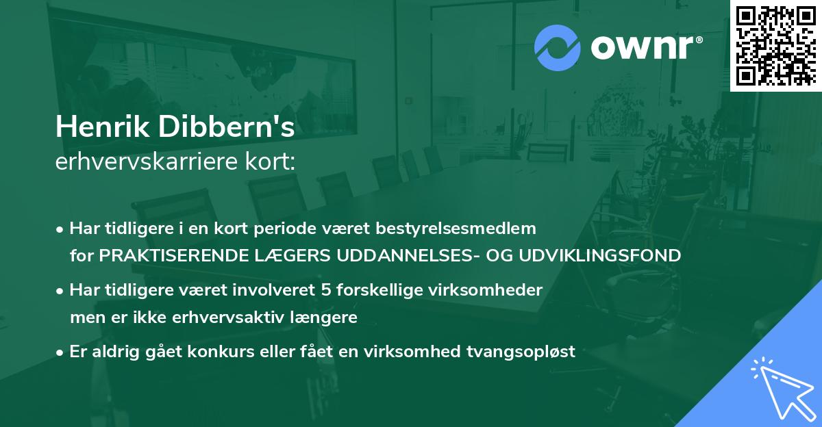 Henrik Dibbern's erhvervskarriere kort