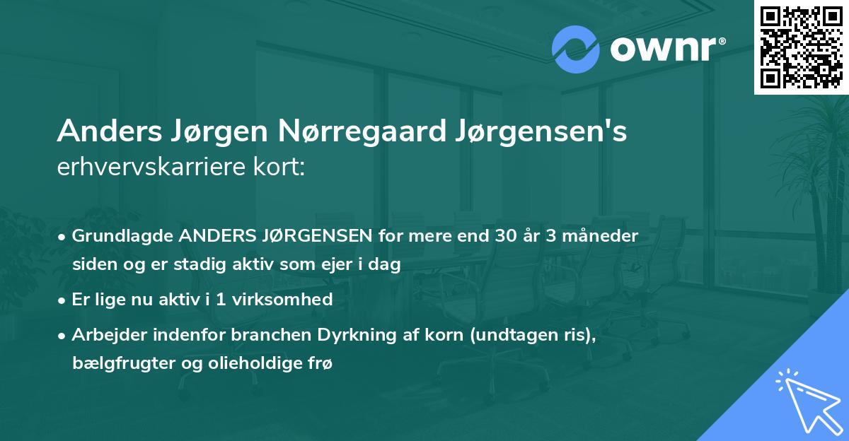 Anders Jørgen Nørregaard Jørgensen's erhvervskarriere kort