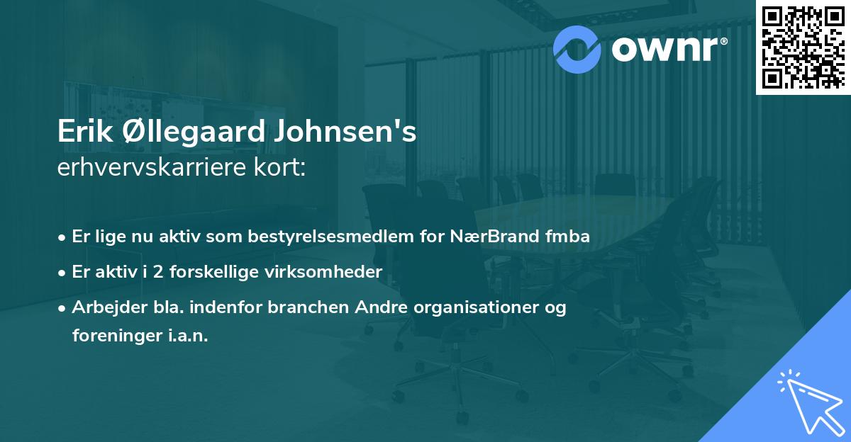 Erik Øllegaard Johnsen's erhvervskarriere kort