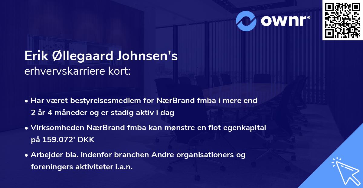 Erik Øllegaard Johnsen's erhvervskarriere kort