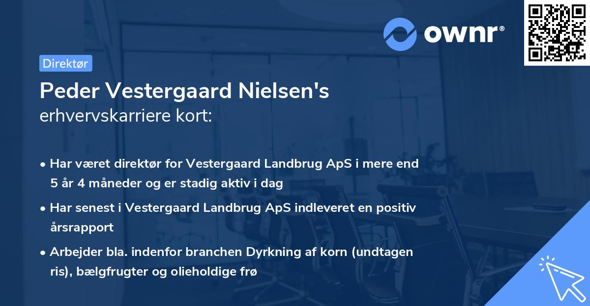 Peder Vestergaard Nielsen's erhvervskarriere kort