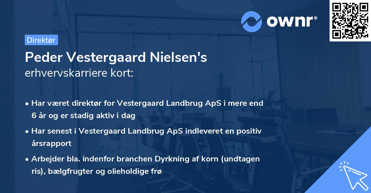 Peder Vestergaard Nielsen's erhvervskarriere kort