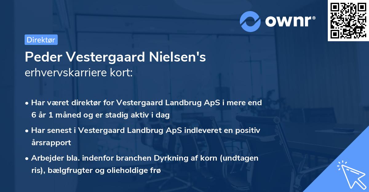 Peder Vestergaard Nielsen's erhvervskarriere kort