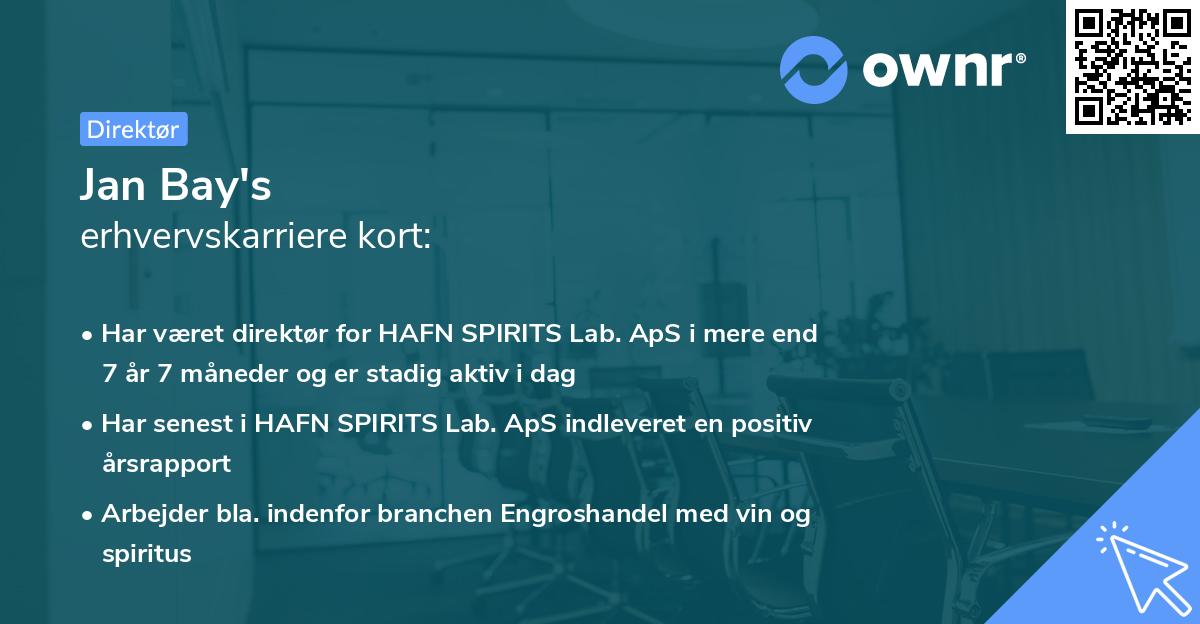 Jan Bay's erhvervskarriere kort