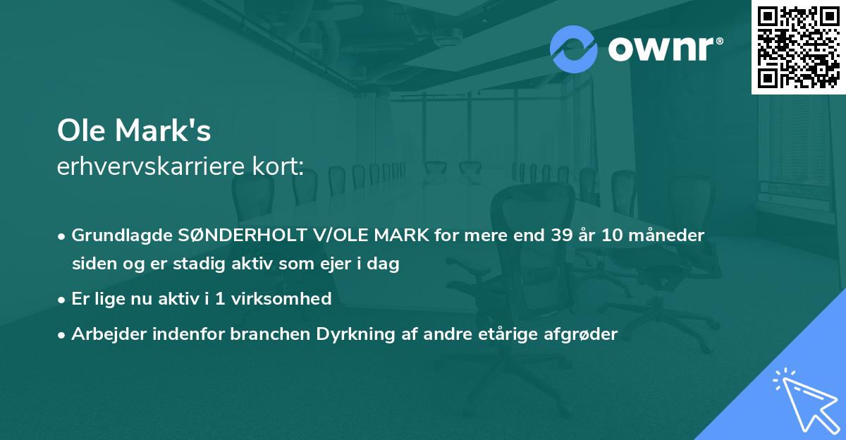 Ole Mark's erhvervskarriere kort