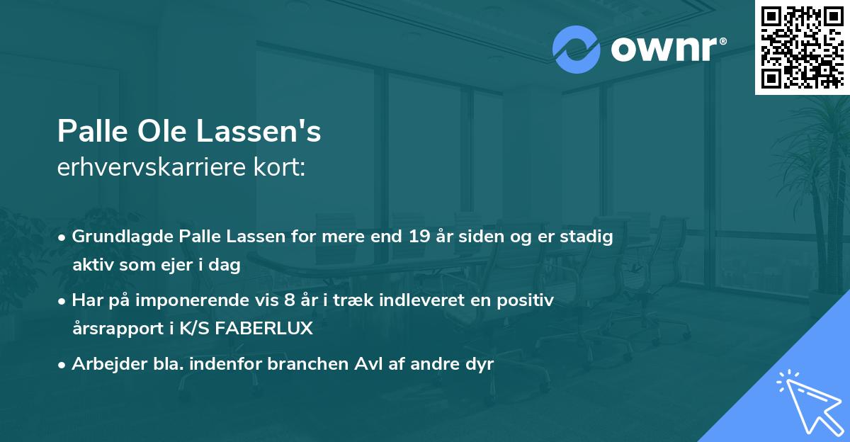 Palle Ole Lassen's erhvervskarriere kort