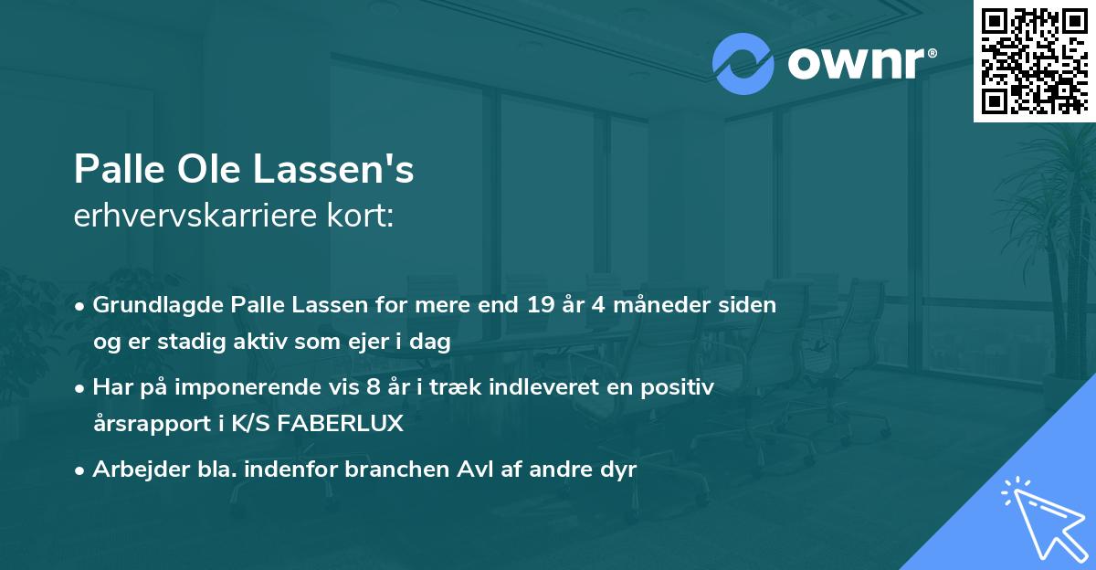 Palle Ole Lassen's erhvervskarriere kort