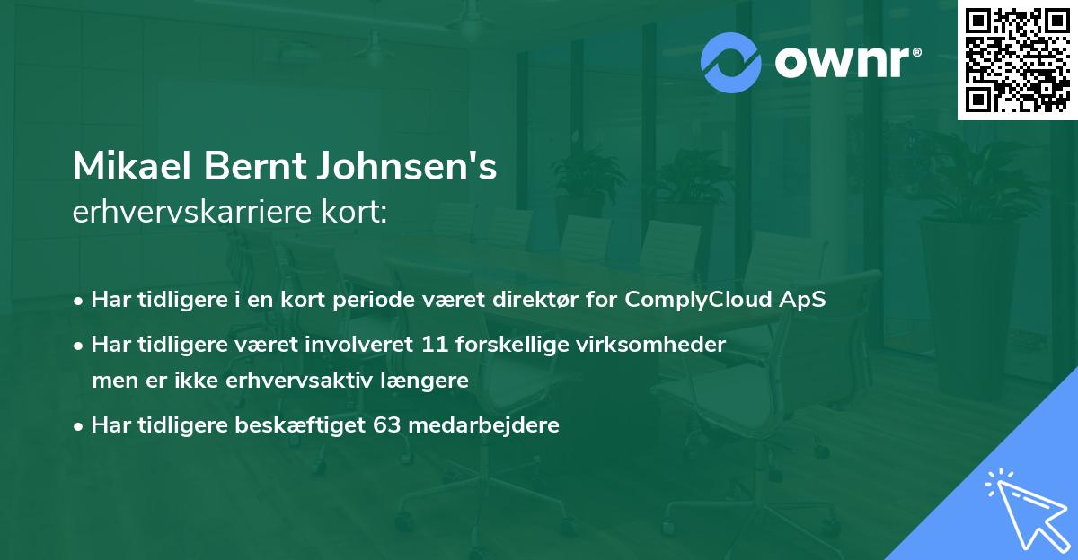 Mikael Bernt Johnsen's erhvervskarriere kort