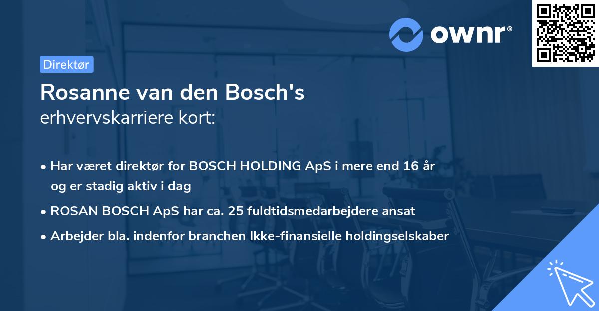 Rosanne van den Bosch's erhvervskarriere kort