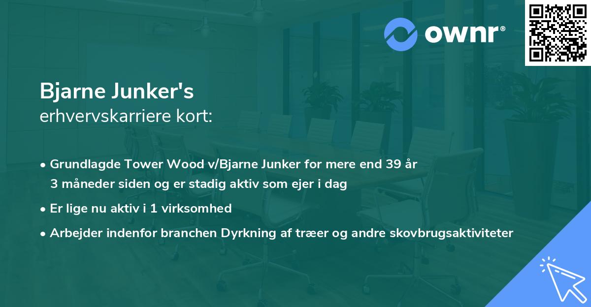 Bjarne Junker's erhvervskarriere kort