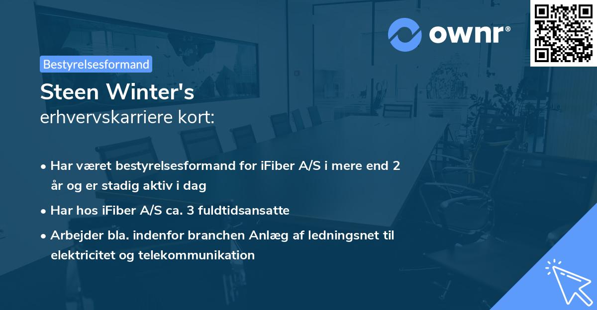 Steen Winter's erhvervskarriere kort