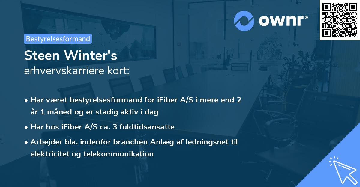 Steen Winter's erhvervskarriere kort