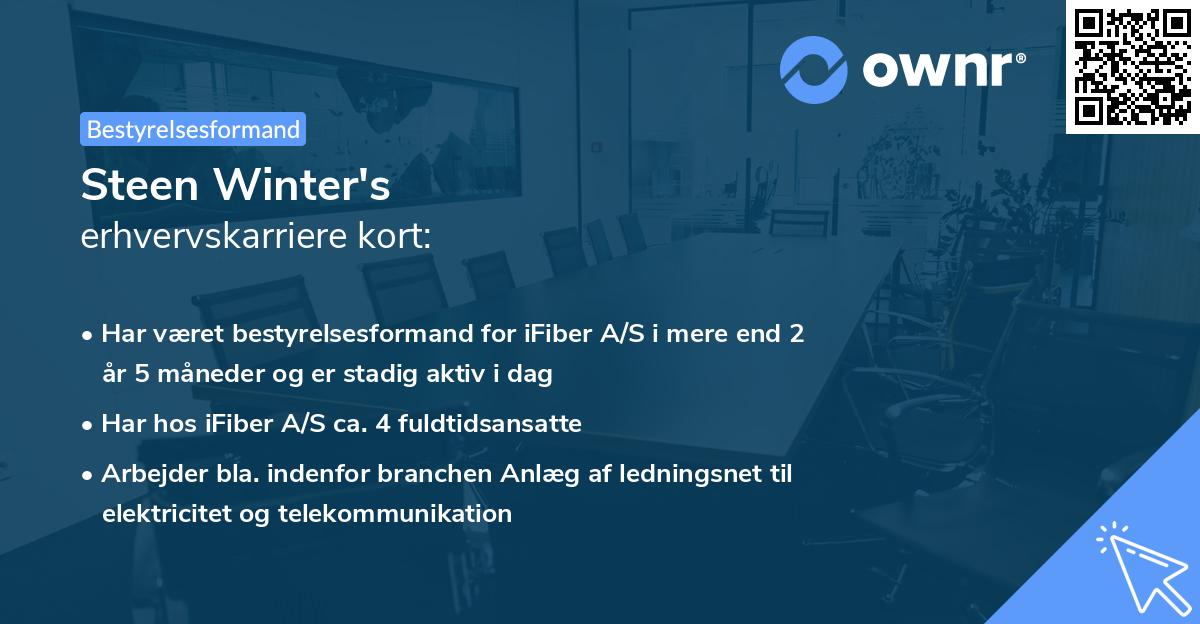 Steen Winter's erhvervskarriere kort