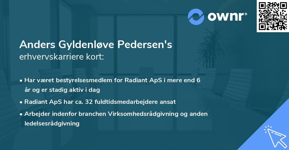 Anders Gyldenløve Pedersen's erhvervskarriere kort