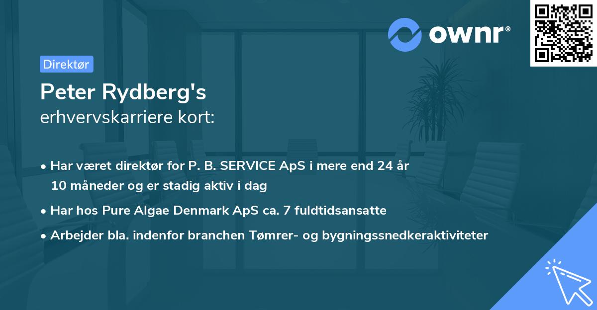 Peter Rydberg's erhvervskarriere kort