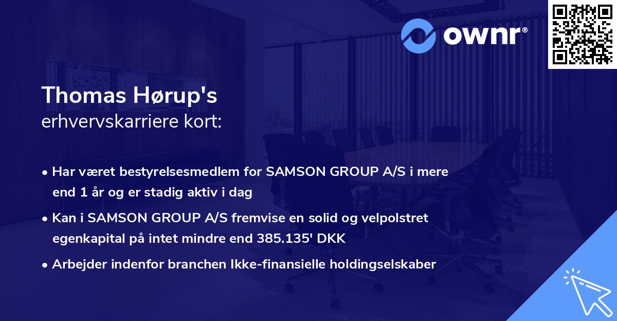 Thomas Hørup's erhvervskarriere kort