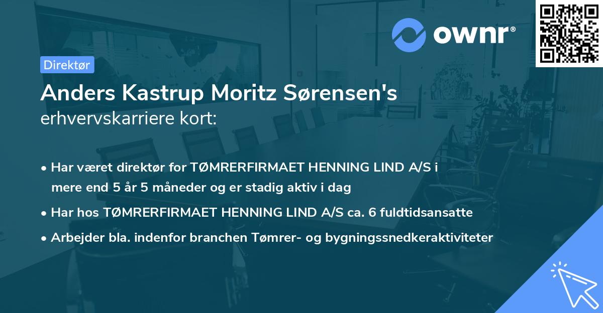 Anders Kastrup Moritz Sørensen's erhvervskarriere kort