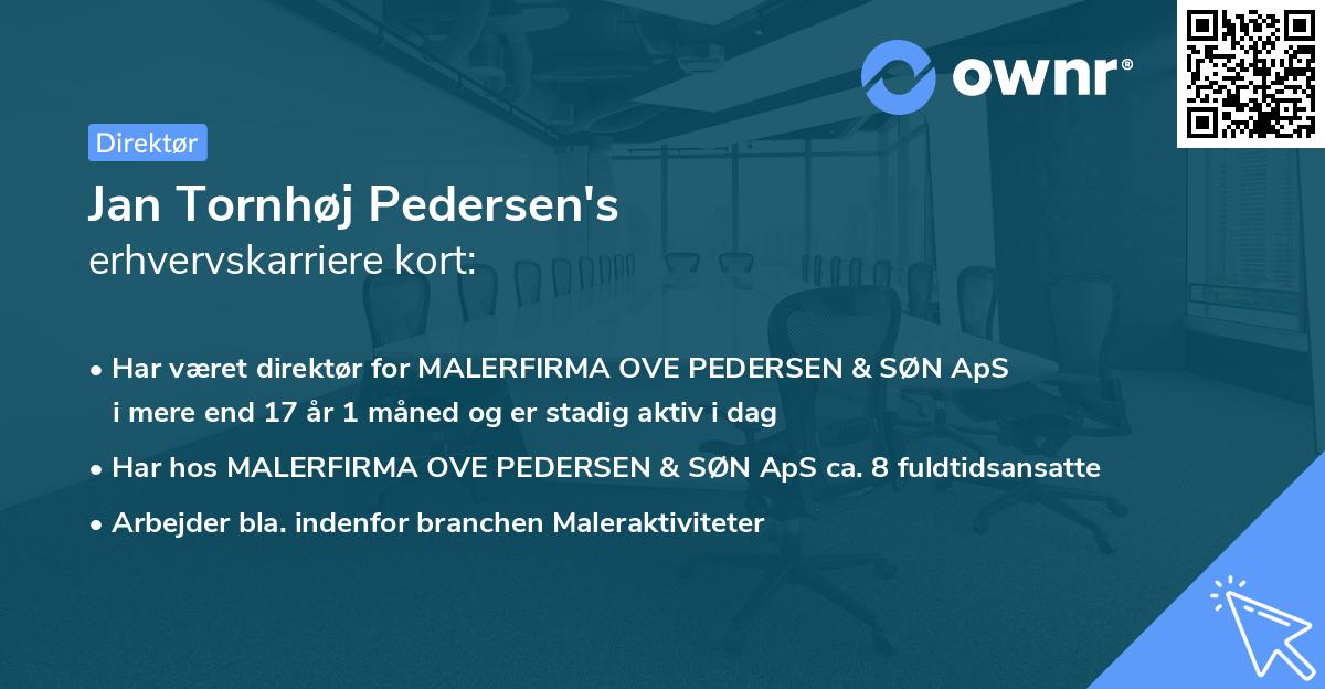 Jan Tornhøj Pedersen's erhvervskarriere kort