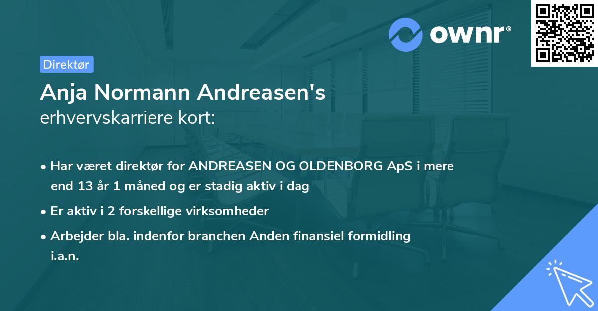 Anja Normann Andreasen's erhvervskarriere kort
