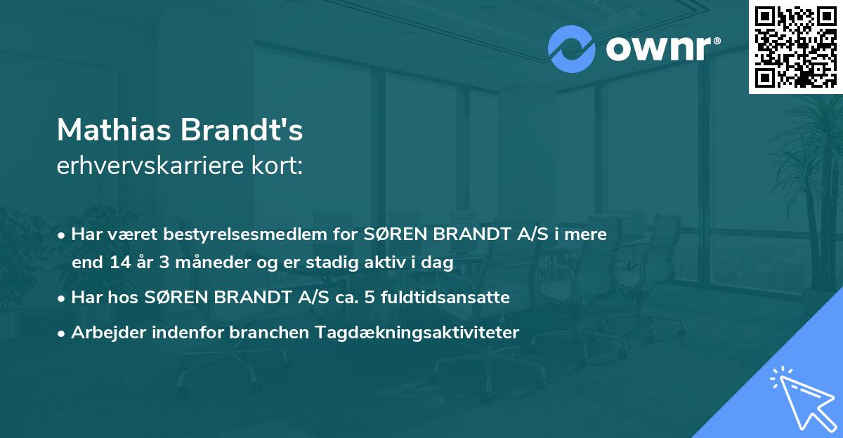Mathias Brandt's erhvervskarriere kort