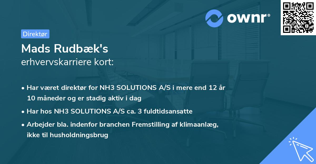 Mads Rudbæk's erhvervskarriere kort