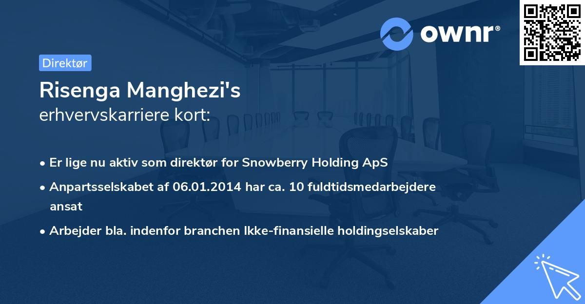 Risenga Manghezi's erhvervskarriere kort