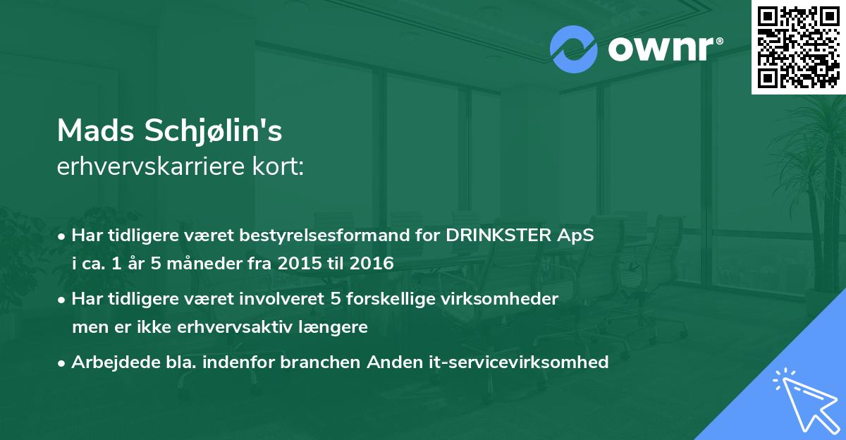 Mads Schjølin's erhvervskarriere kort