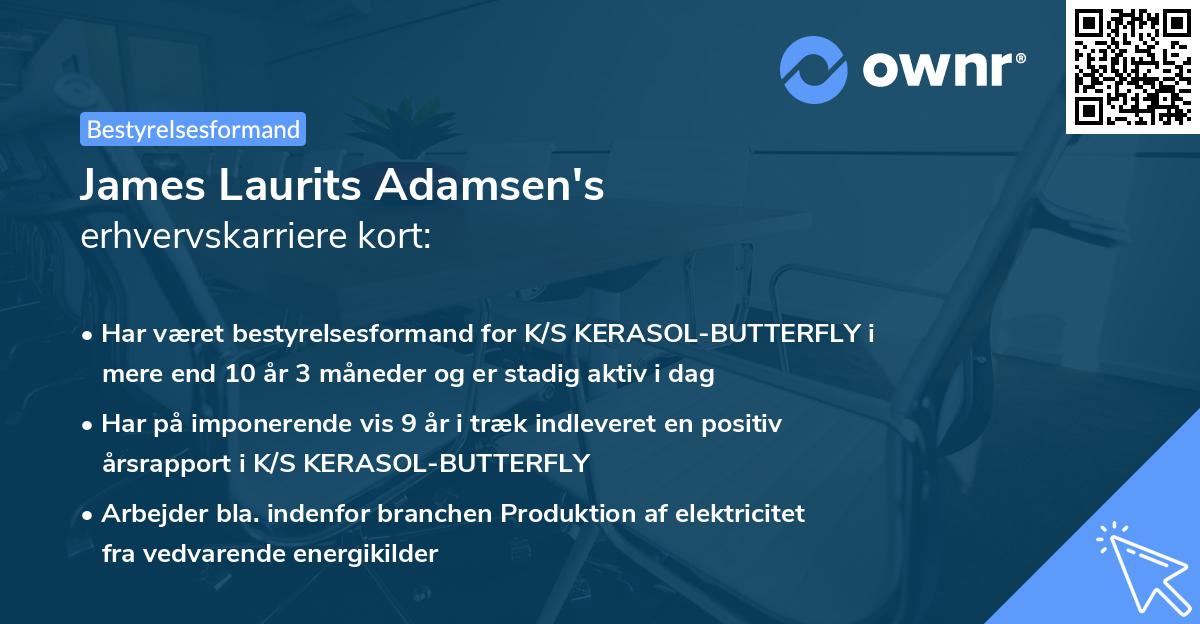 James Laurits Adamsen's erhvervskarriere kort