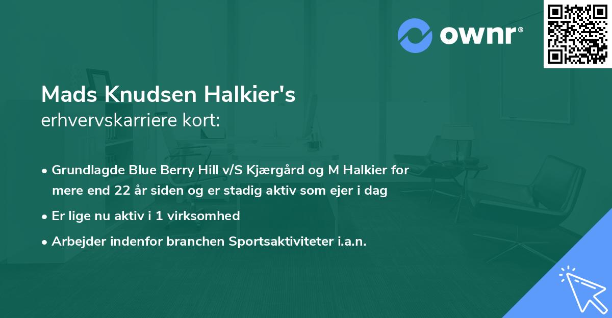 Mads Knudsen Halkier's erhvervskarriere kort