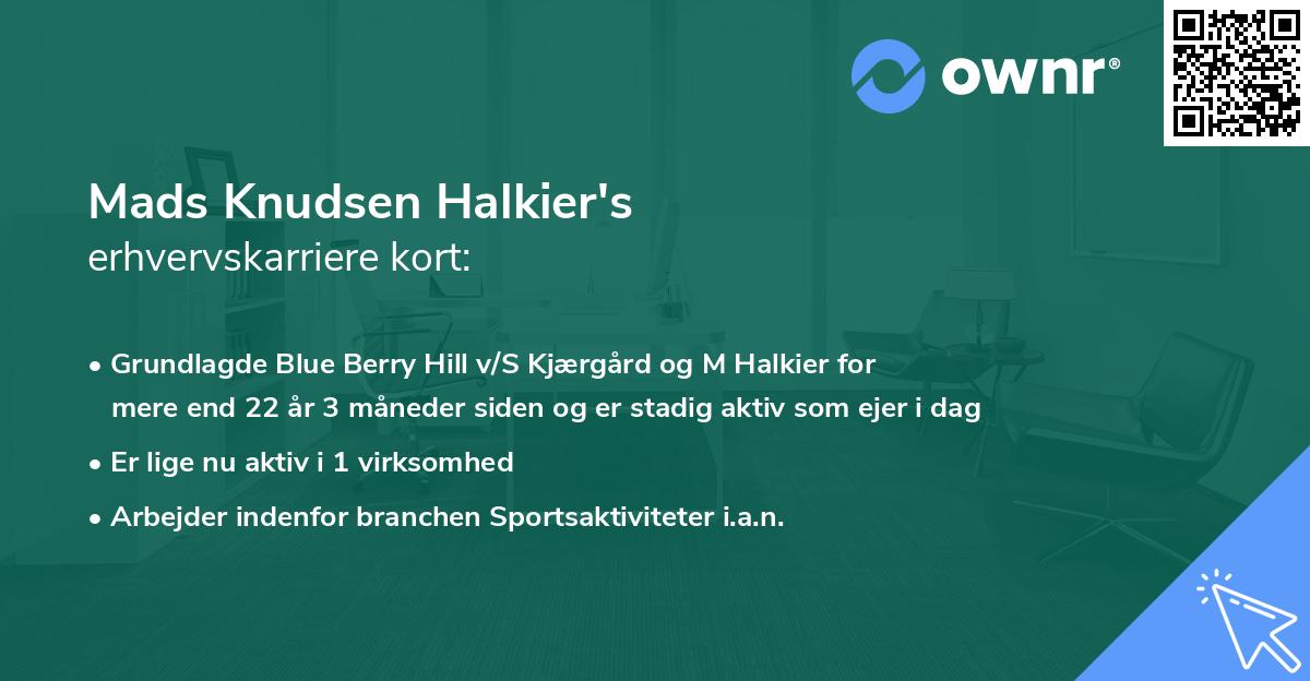 Mads Knudsen Halkier's erhvervskarriere kort