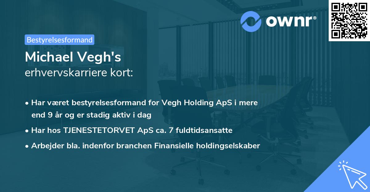Michael Vegh's erhvervskarriere kort