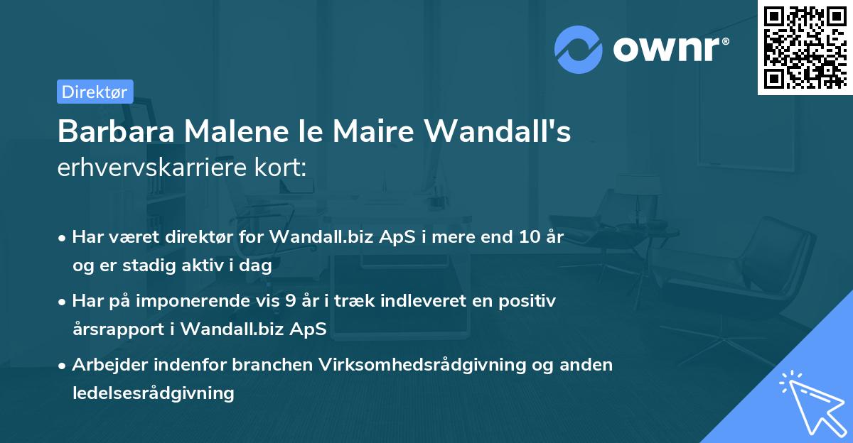 Barbara Malene le Maire Wandall's erhvervskarriere kort