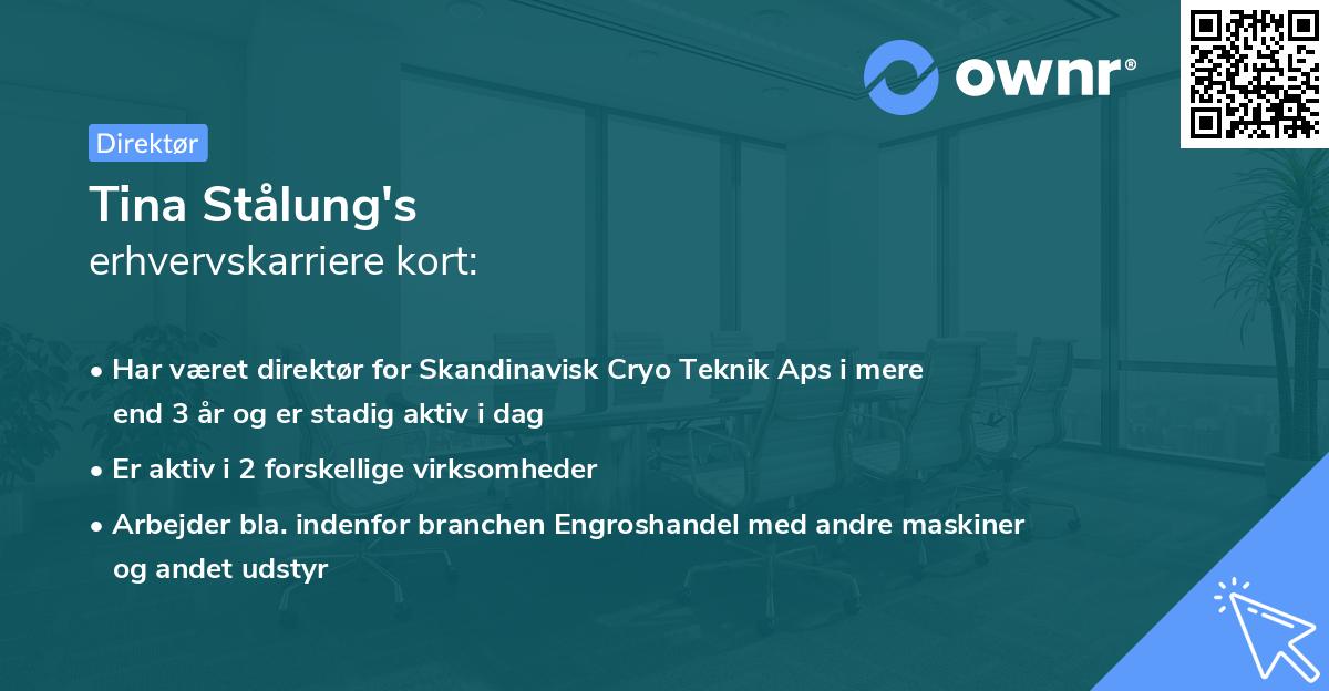 Tina Stålung's erhvervskarriere kort