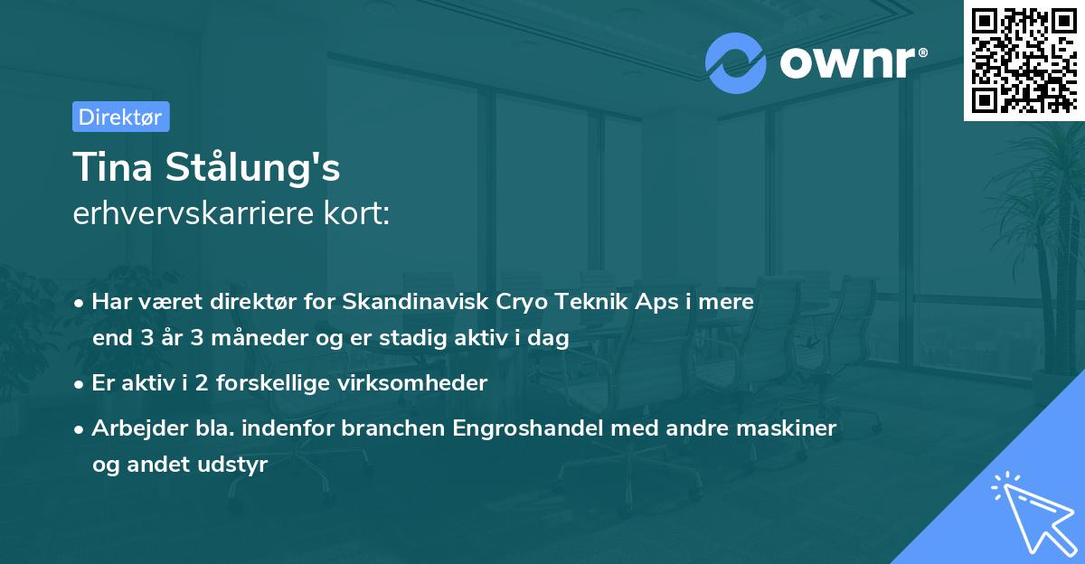 Tina Stålung's erhvervskarriere kort