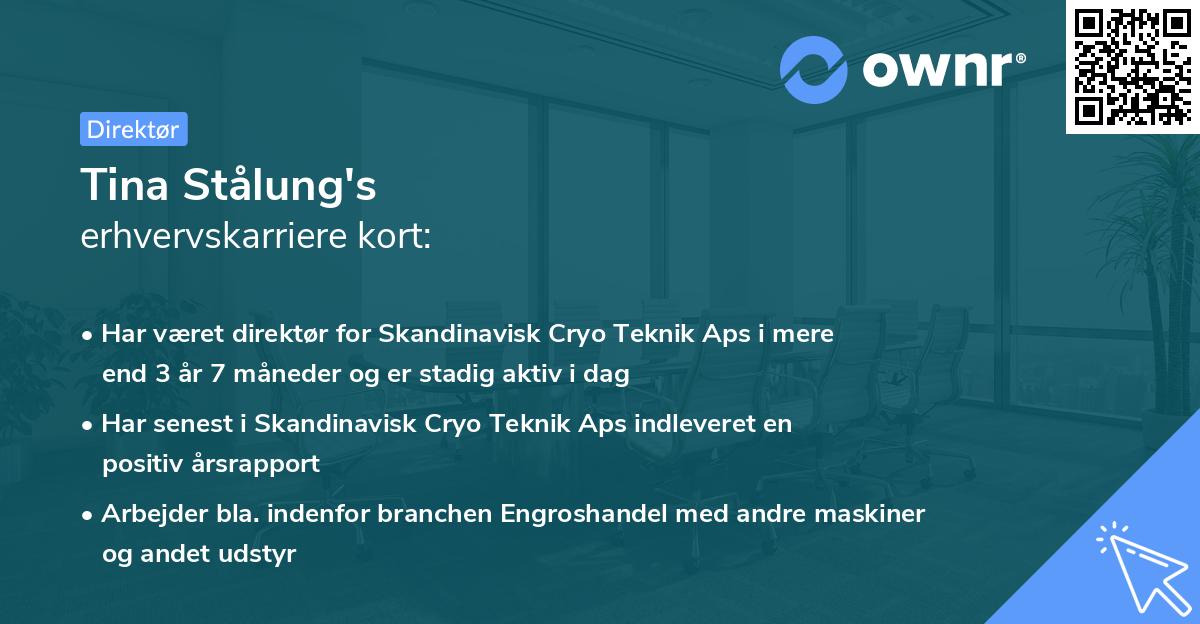 Tina Stålung's erhvervskarriere kort