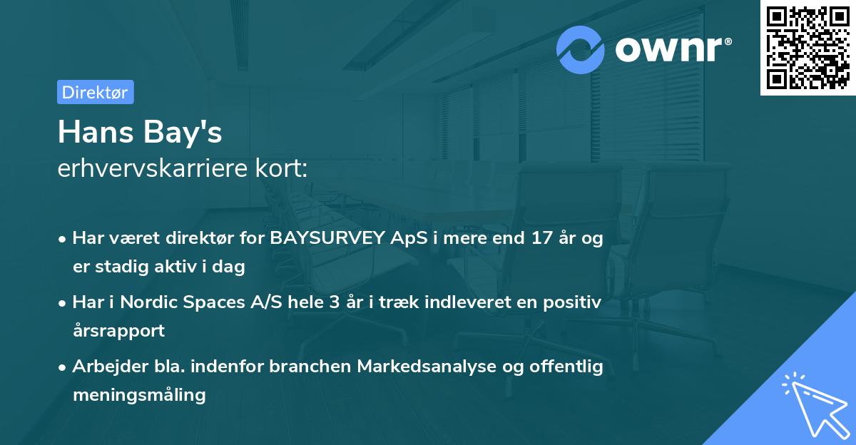 Hans Bay's erhvervskarriere kort