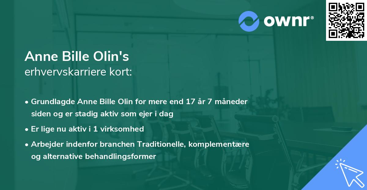 Anne Bille Olin's erhvervskarriere kort