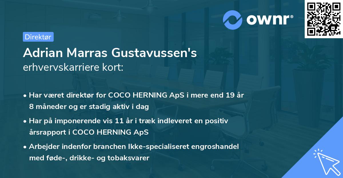 Adrian Marras Gustavussen's erhvervskarriere kort