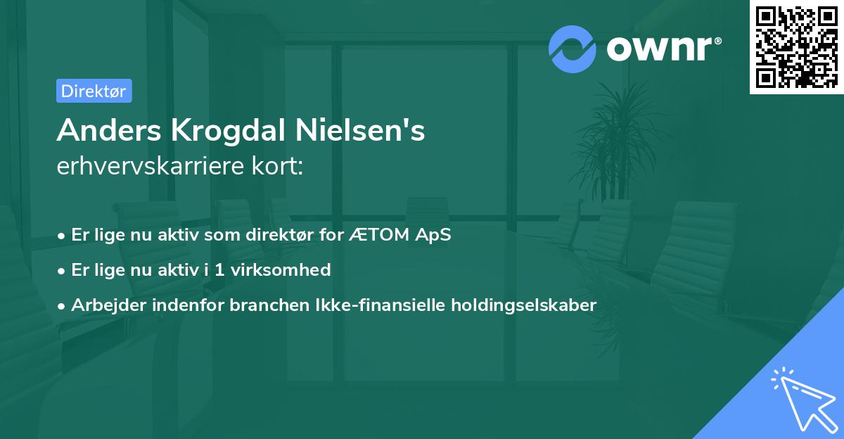 Anders Krogdal Nielsen's erhvervskarriere kort