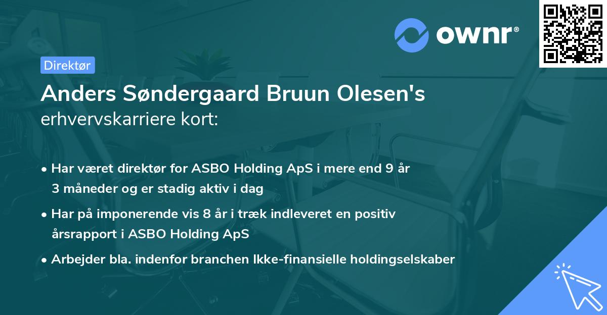 Anders Søndergaard Bruun Olesen's erhvervskarriere kort